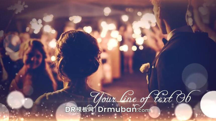 DR模板 达芬奇模板 唯美粒子特效优雅照片展示达芬奇婚礼视频模板-DR模板网