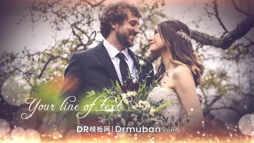 DR模板 达芬奇模板 唯美粒子特效优雅照片展示达芬奇婚礼视频模板-DR模板网