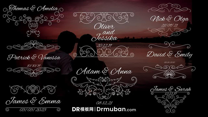 达芬奇婚礼标题模板 8个复古繁美花纹告白视频标题DR模板下载-DR模板网
