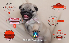 DR模板 宠物卡通创意短片动态标题达芬奇模板下载
