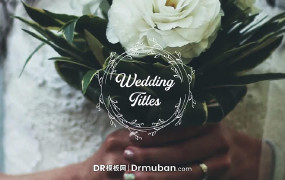 婚礼标题DR模板 浪漫花环动态告白短视频标题达芬奇模板