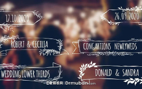 达芬奇模板 “开枝散叶”树叶枝条生长动画婚礼视频标题DR模板