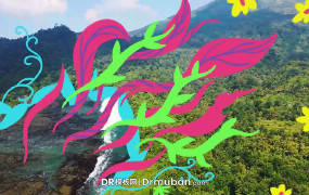 达芬奇转场模板 手绘热带花叶转场过渡视频模板免费下载